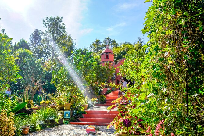 Botanical Garden: Private Day Trip of Flora & Fauna in Vallarta. - Why this private botanical garden day feels different