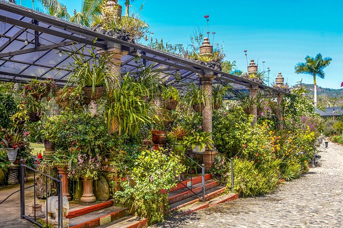 Botanical Garden: Private Day Trip of Flora & Fauna in Vallarta. - Morning logistics: Pickup in Banderas Bay and how the timing works