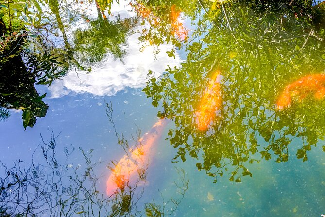 Botanical Garden: Private Day Trip of Flora & Fauna in Vallarta. - Optional cool-off: river trails and what to bring