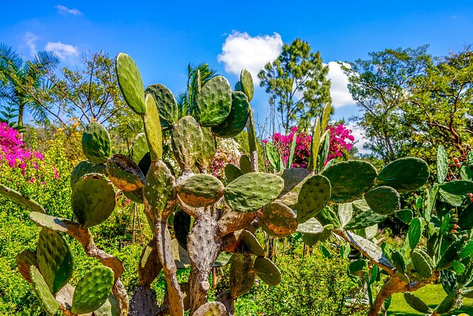 Botanical Garden: Private Day Trip of Flora & Fauna in Vallarta. - Jewelry and Marino Marino workshop stop: a comfort break with culture