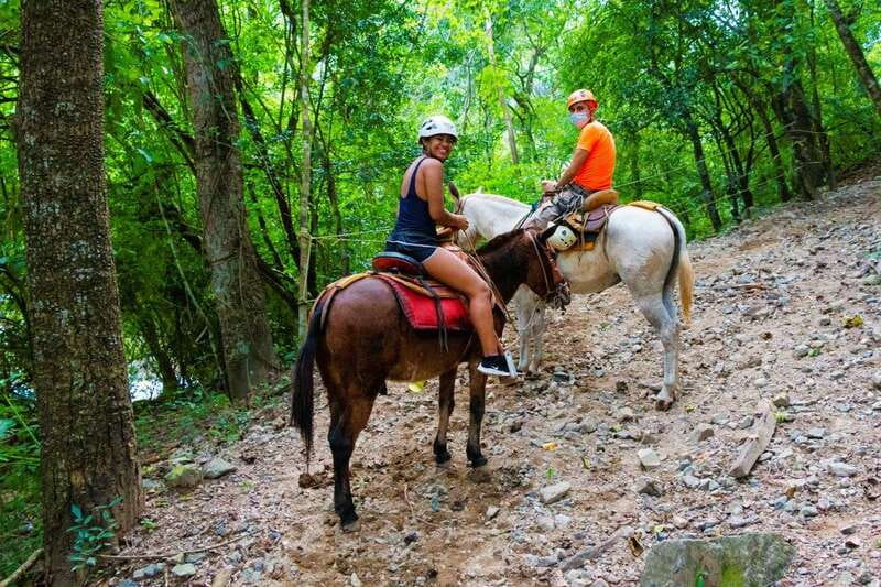 From Puerto Vallarta & Nuevo Vallarta: Canopy Zipline Tour - Key things that make this tour work