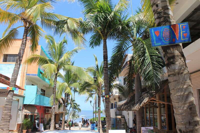 From Puerto Vallarta: San Pancho and Sayulita - Your guide and driver: why this trip feels fun (or not)