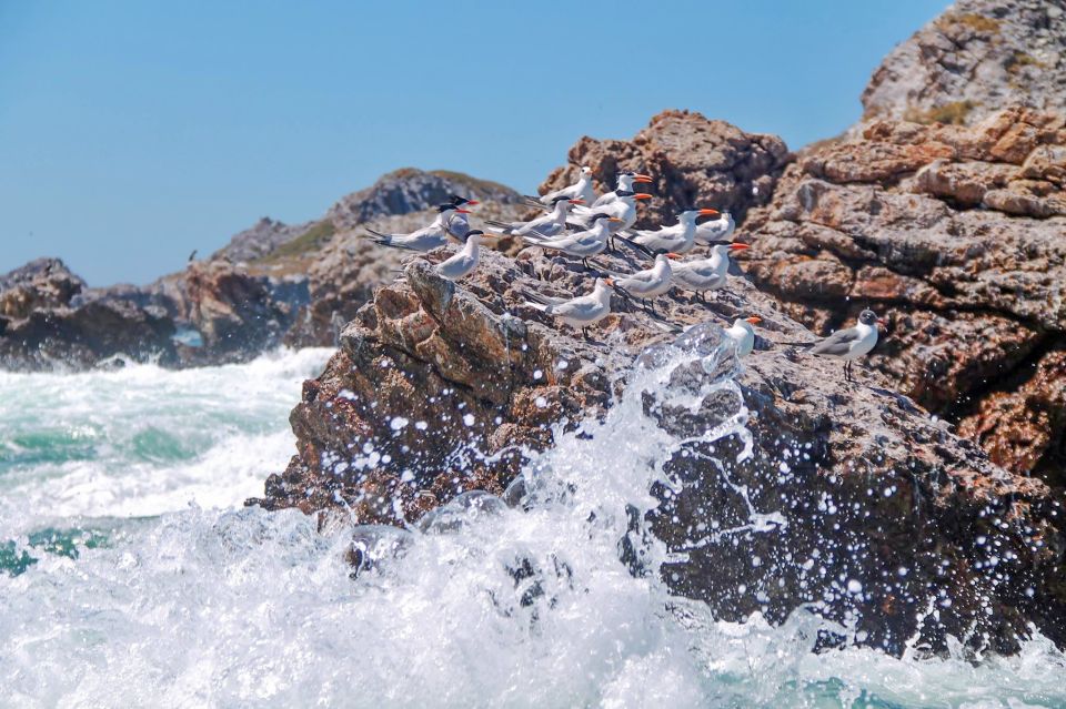 From Vallarta: Marietas Islands & Beach BBQ at Majahuitas - Crowd and Timing Reality Check