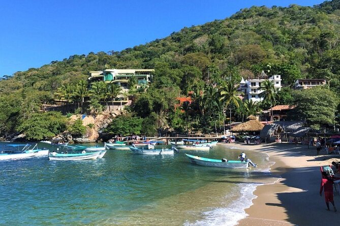Full-Day Experience in Banderas Bay - Key highlights worth your attention