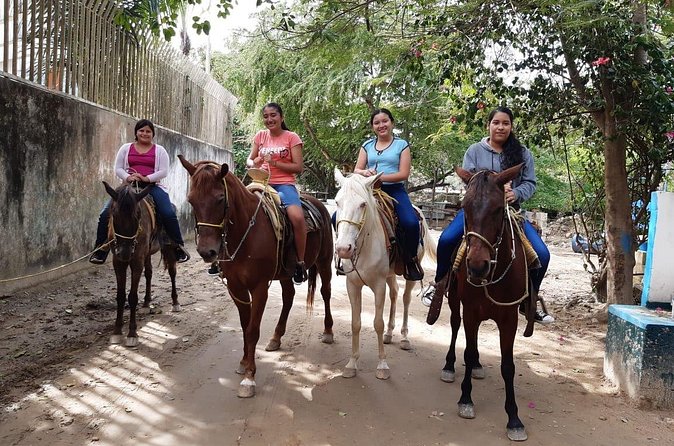 Fun Horseback Tour in Mismaloya - Value for Your Time in Puerto Vallarta