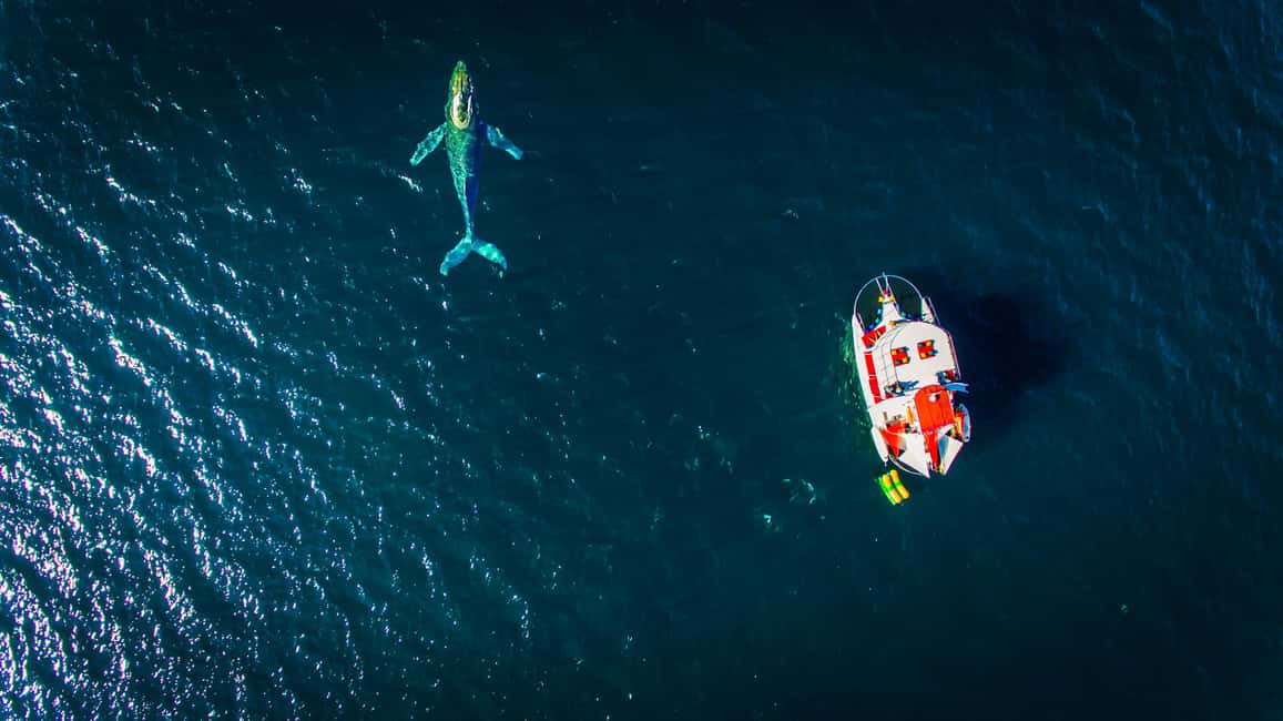 Marietas Islands Boat Tour: Snorkel, Kayak, Playa Nopalera - Key things to know before you go