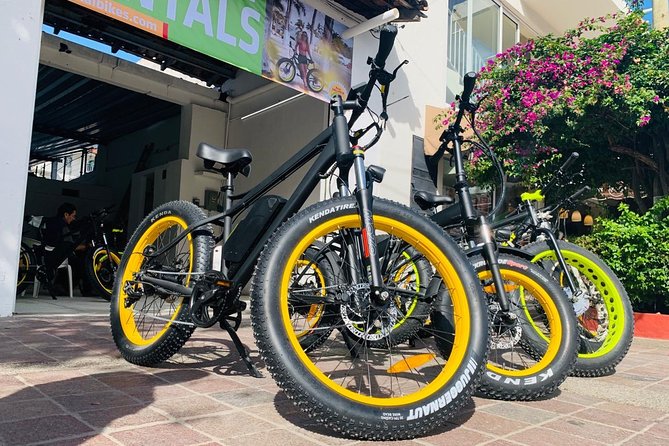 Mountain Tour Puerto Vallarta Electric Bikes - Malecon Sculptures and Historic Stops: A Great Warm-Up Before the Climb