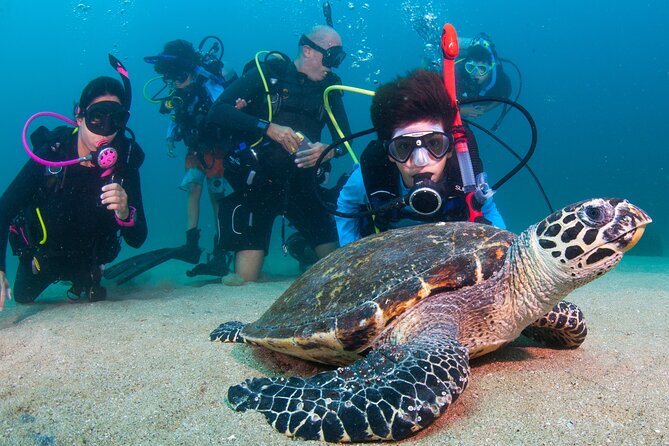 Scuba Diving Puerto Vallarta Undersea Arcos or Marietas - Marietas Islands: Snorkel Coaching, Certification Rules, and the Hidden Beach Option