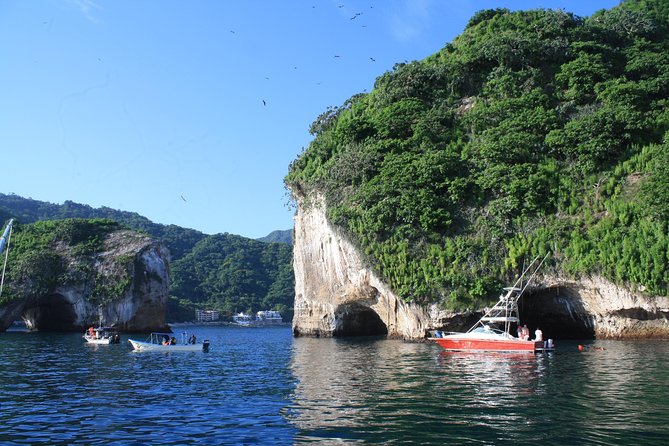 Small Group Snorkeling in Los Arcos, Puerto Vallarta - Key highlights worth planning for