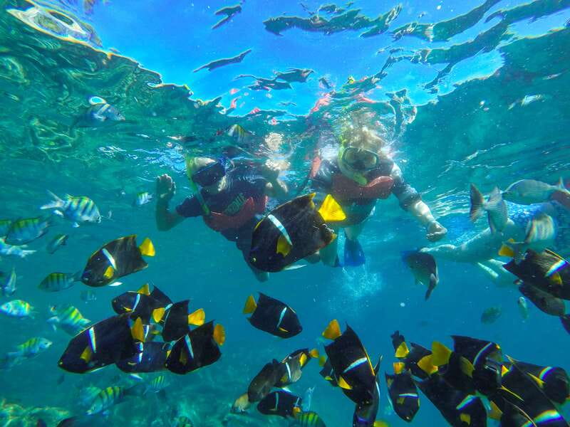 Vallarta: Yelapa Waterfall & Majahuitas Snorkel Adventure - Cruising Out of Puerto Vallarta: Boats, Views, and Wildlife Odds