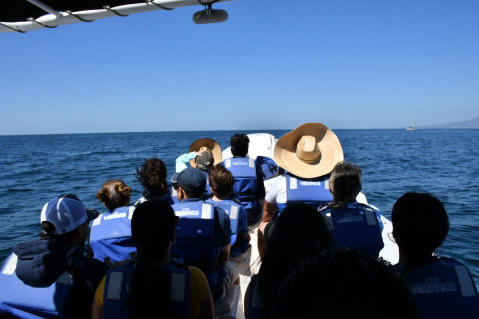 Whale Watching Guaranteed Experience in Puerto Vallarta - Humpbacks and the Puerto Vallarta timing that matters