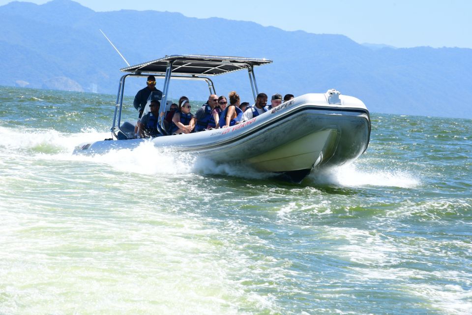 Whale Watching Guaranteed Experience in Puerto Vallarta - The high-speed boat ride: quick access to sightings
